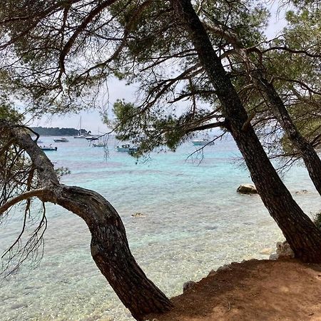 Appartement Centre Croisette Emplacement Exceptionnel Cannes Esterno foto