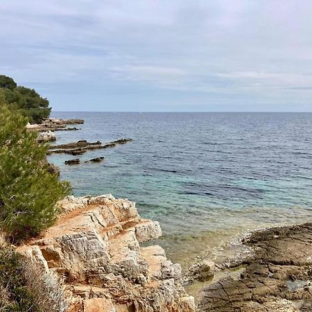 Appartement Centre Croisette Emplacement Exceptionnel Cannes Esterno foto