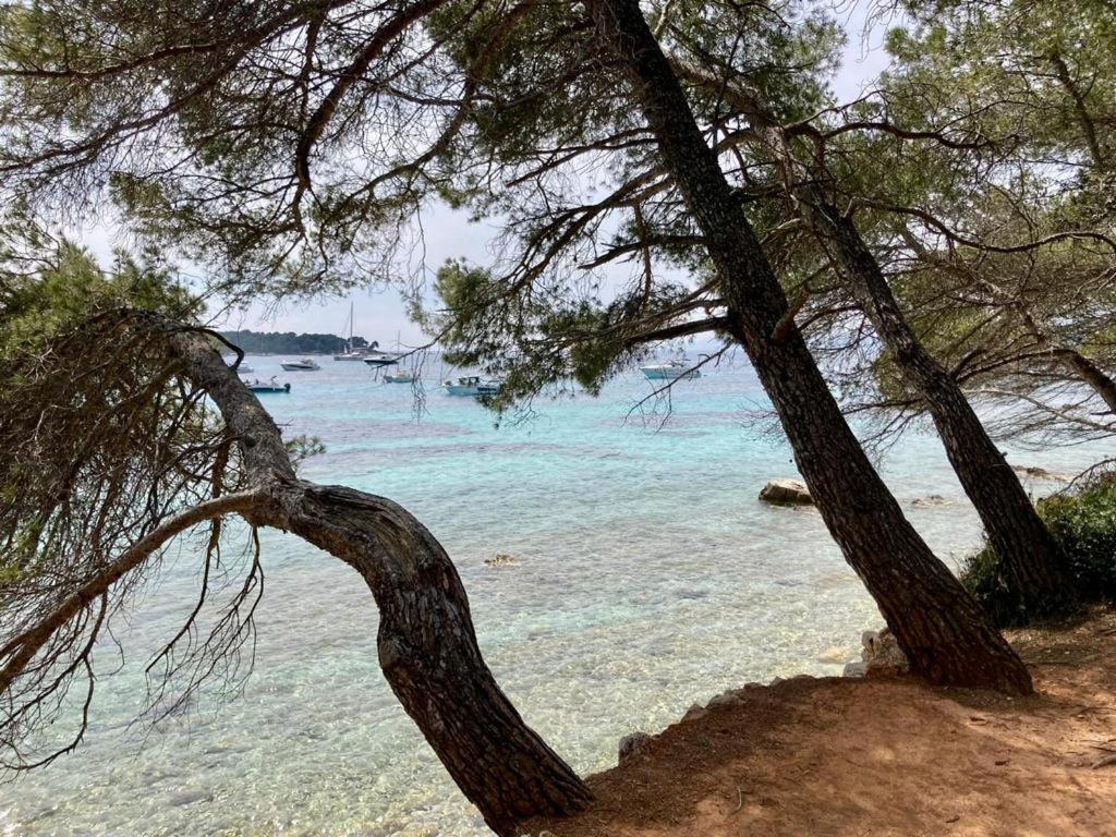 Appartement Centre Croisette Emplacement Exceptionnel Cannes Esterno foto