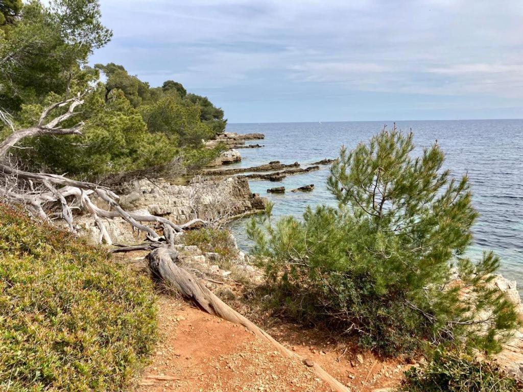 Appartement Centre Croisette Emplacement Exceptionnel Cannes Esterno foto