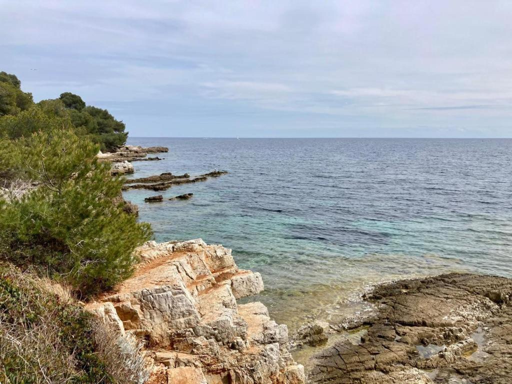 Appartement Centre Croisette Emplacement Exceptionnel Cannes Esterno foto